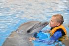 NADACE AGEL přispěla na delfinoterapii dvanáctiletého Honzíka s atypickým autismem