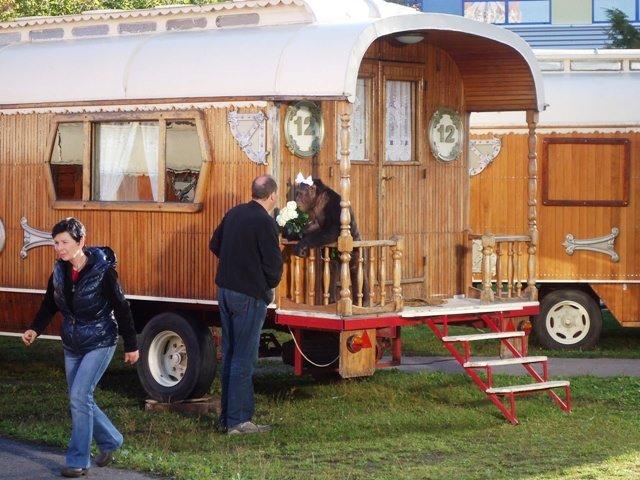 Opice a&nbsp;její domov